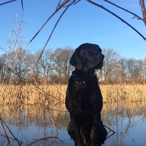 Meet your Posher, Clay